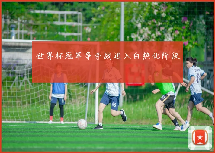 世界杯冠军争夺战进入白热化阶段